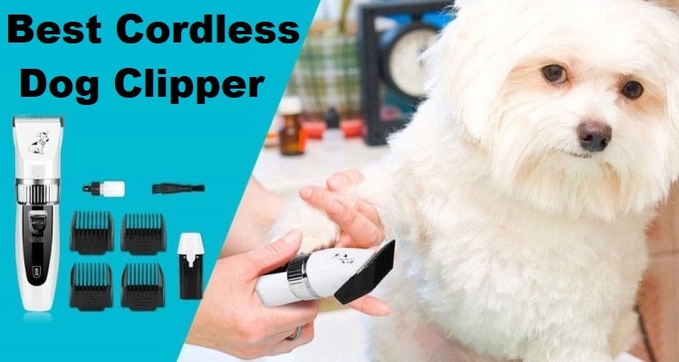 Best cordless dog clippers