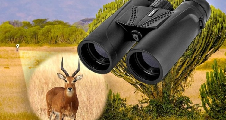 Best Binoculars for Elk and Deer Hunting: Reviews of the Top ...