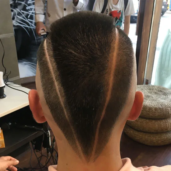 Lizard Cut With Slashed Lines