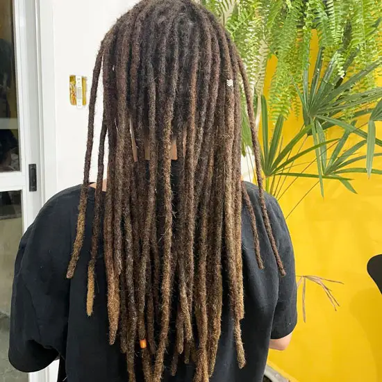 All You Need To Know About Dreads