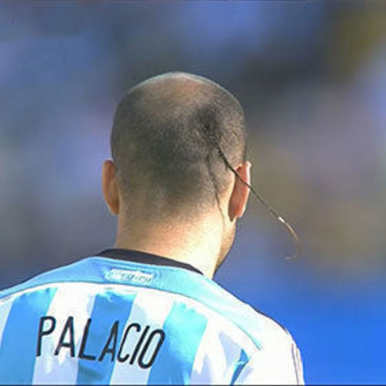 Palacio's Thin Rat Tail
