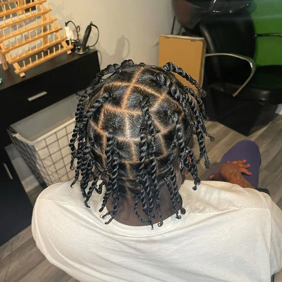 Frosted Two Twist Box Braids