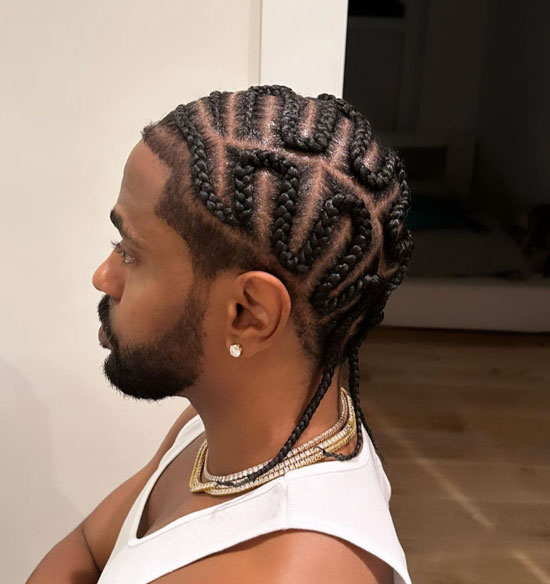 Polished Snake Braids with Micro-braided Tail